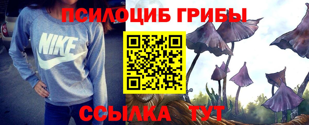 Снежинск  Псилоцибиновые грибы MAGIC MUSHROOMS  Псилоцибиновые грибы мухоморы  Вход с VPN 